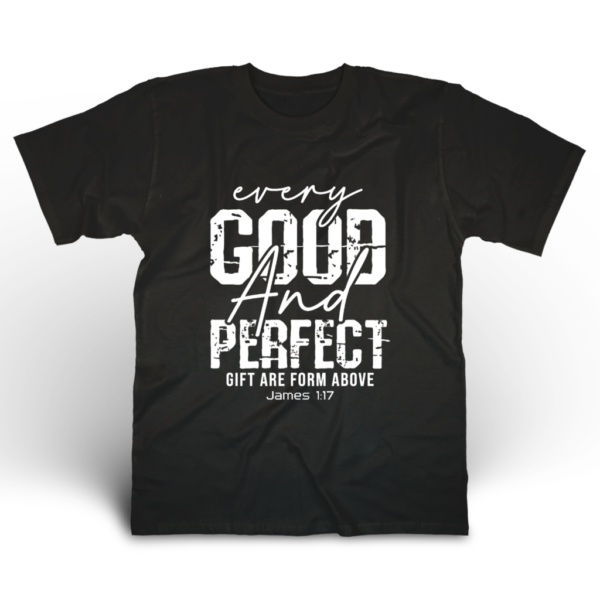 12 EVERY GOOD AND PERFECT - Gildan T-Shirt DryBlend 50/50